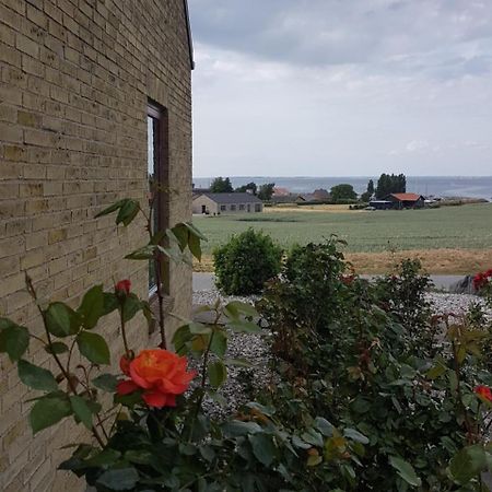 Molevitten Apartments Søby Buitenkant foto