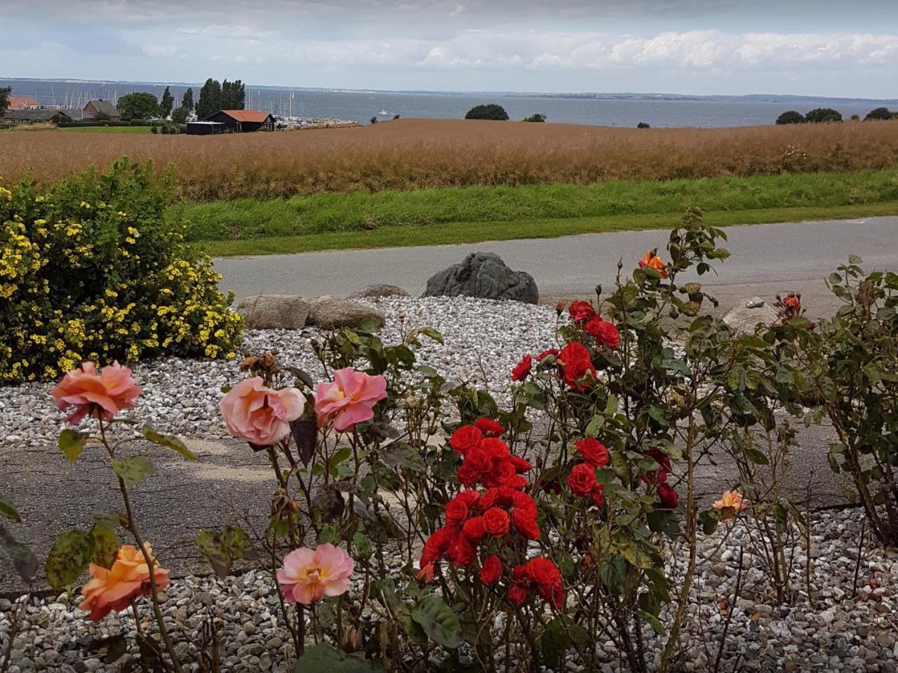 Molevitten Apartments Søby Buitenkant foto
